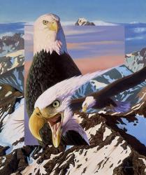Screaming Eagles | Obraz na stenu