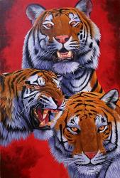 Tigers | Obraz na stenu