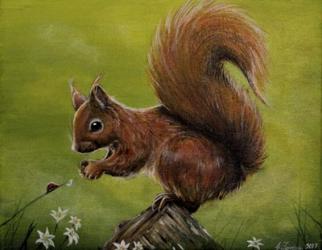 Squirrel | Obraz na stenu