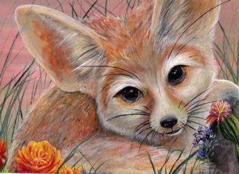 Fennec Fox | Obraz na stenu