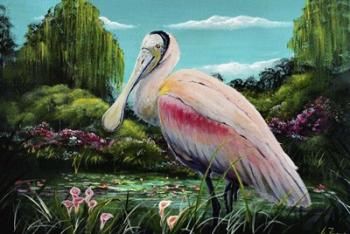 Spoonbill | Obraz na stenu