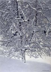 Snow Tree With Magpies | Obraz na stenu