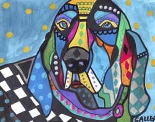 Bluetick Coonhound | Obraz na stenu