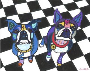 Boston Terriers 2 Dogs | Obraz na stenu