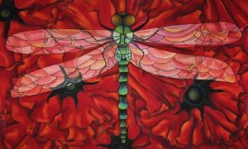 Dragonfly And Poppies | Obraz na stenu