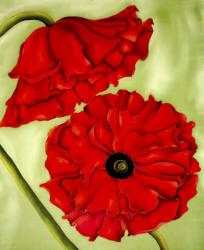 Two Poppies | Obraz na stenu