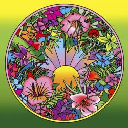 Pop Art Circle Flowers 615 | Obraz na stenu