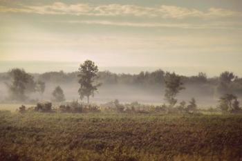 Lifting Fog | Obraz na stenu