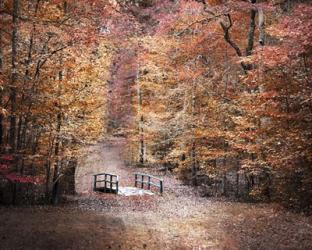 The Little Blue Bridge | Obraz na stenu