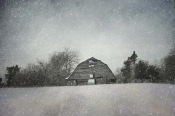 Snowing At The Old Barn | Obraz na stenu