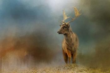 Painterly Fallow Buck | Obraz na stenu