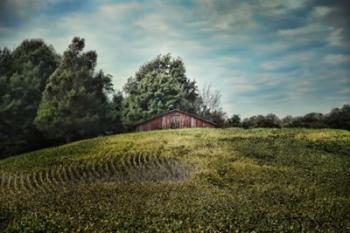 Red Barn On The Hill | Obraz na stenu