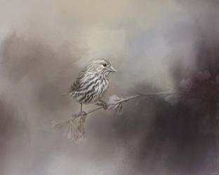 Just A Whisper of Feathers | Obraz na stenu