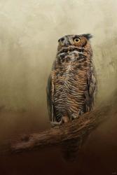 Great Horned Owl At Shiloh | Obraz na stenu