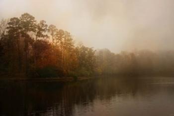 Foggy Morning At Lake LaJoie | Obraz na stenu