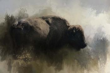 Abstract American Bison | Obraz na stenu