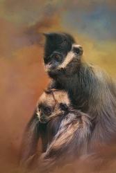 Mom And Baby Francois Langur | Obraz na stenu