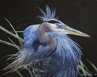 Blue Heron | Obraz na stenu