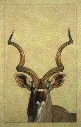 Kudu | Obraz na stenu