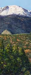 Pike's Peak in Summer | Obraz na stenu