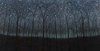 Starry Trees | Obraz na stenu