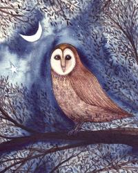 Midnight Owl | Obraz na stenu