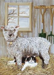 Sheep And Cat | Obraz na stenu