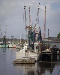 Shrimp Boats | Obraz na stenu