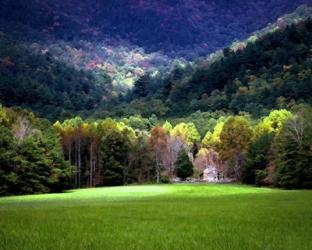 Oliver Cabin GSMNP, TN | Obraz na stenu