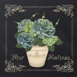 Fleur Hortensia | Obraz na stenu