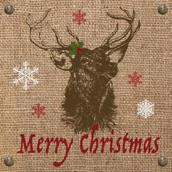 Christmas on Burlap - Merry Christmas 2 | Obraz na stenu