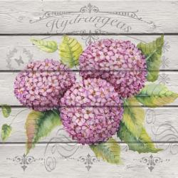 Pink Hydrangeas | Obraz na stenu