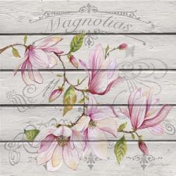 Pink Magnolias I | Obraz na stenu