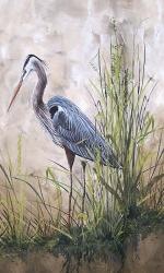 In The Reeds - Blue Heron - B | Obraz na stenu