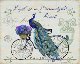 Peacock On Bicylce II | Obraz na stenu