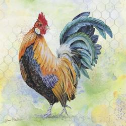 Watercolor Rooster - D | Obraz na stenu