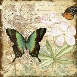 Inspirational Butterflies - C | Obraz na stenu