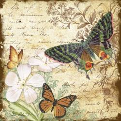 Inspirational Butterflies - D | Obraz na stenu
