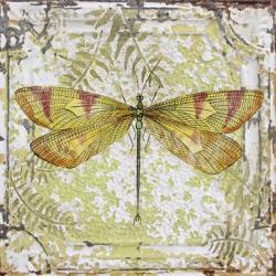 Dragonfly On Tin Tile | Obraz na stenu