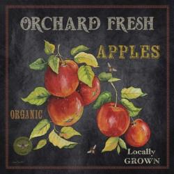 Orchard Fresh Apples | Obraz na stenu