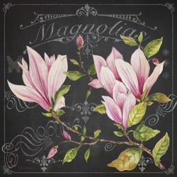 Magnolias 1 | Obraz na stenu