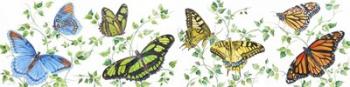 Summertime Butterflies E | Obraz na stenu