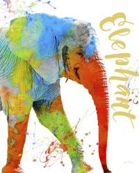 Colorful Safari Animals C | Obraz na stenu