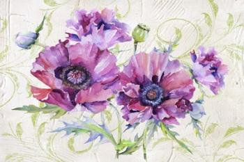 Romantic Purple Poppies | Obraz na stenu