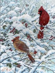 Winter Cardinal Painting | Obraz na stenu