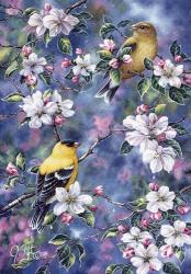 Gold Finch & Blossoms | Obraz na stenu