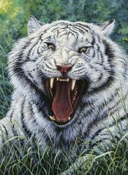 White Tiger 2 | Obraz na stenu