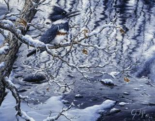 Icy Reflections | Obraz na stenu