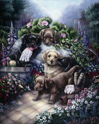 Gardening Puppies | Obraz na stenu