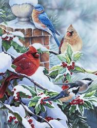 Songbirds and Holly | Obraz na stenu